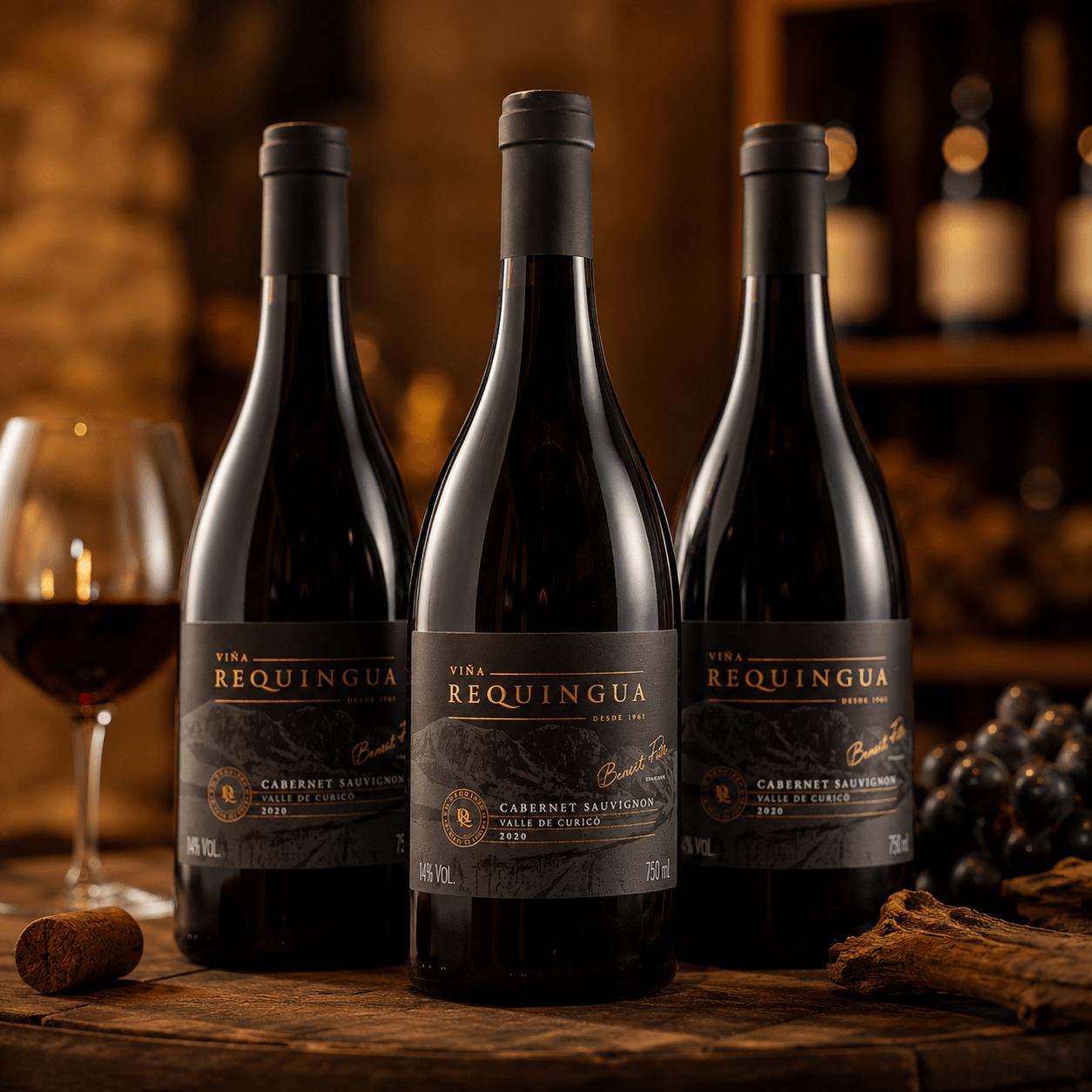Garrafas de vinho tinto Cabernet Sauvignon do portfólio VÍSSEL, servidas em taça